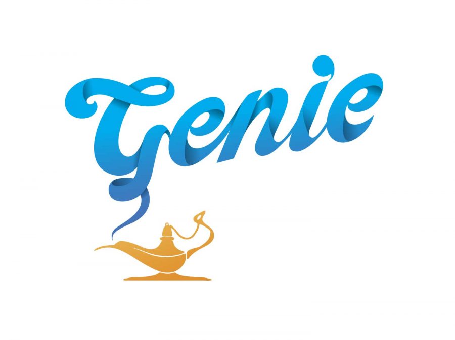 The First Genie