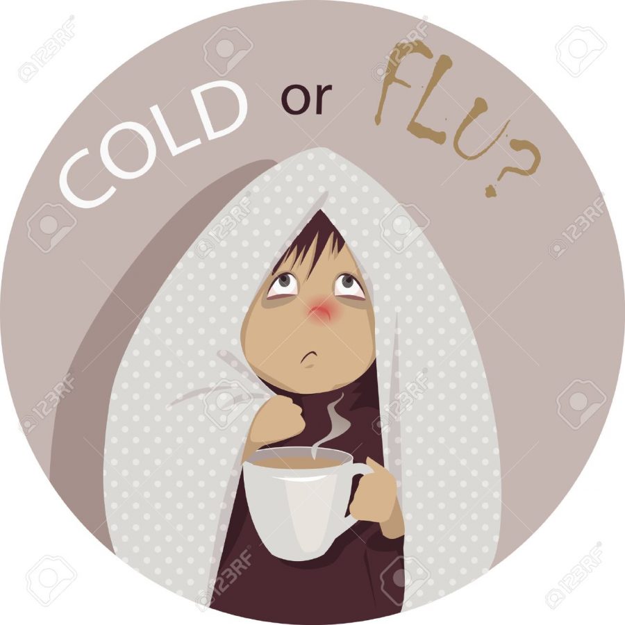 Sheas Health Corner: Is it just a cold, or the FLU??